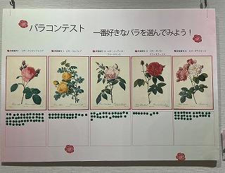 2504304.jpg