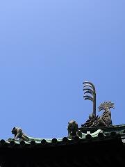 s-IMG_1955.jpg
